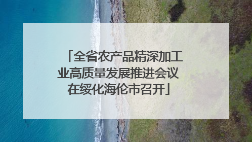 全省农产品精深加工业高质量发展推进会议在绥化海伦市召开